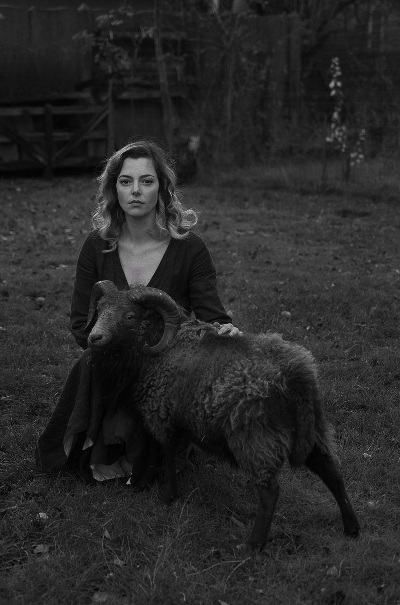 #photo by Robert Van Brustum
#model #ouessantsheep #sheep