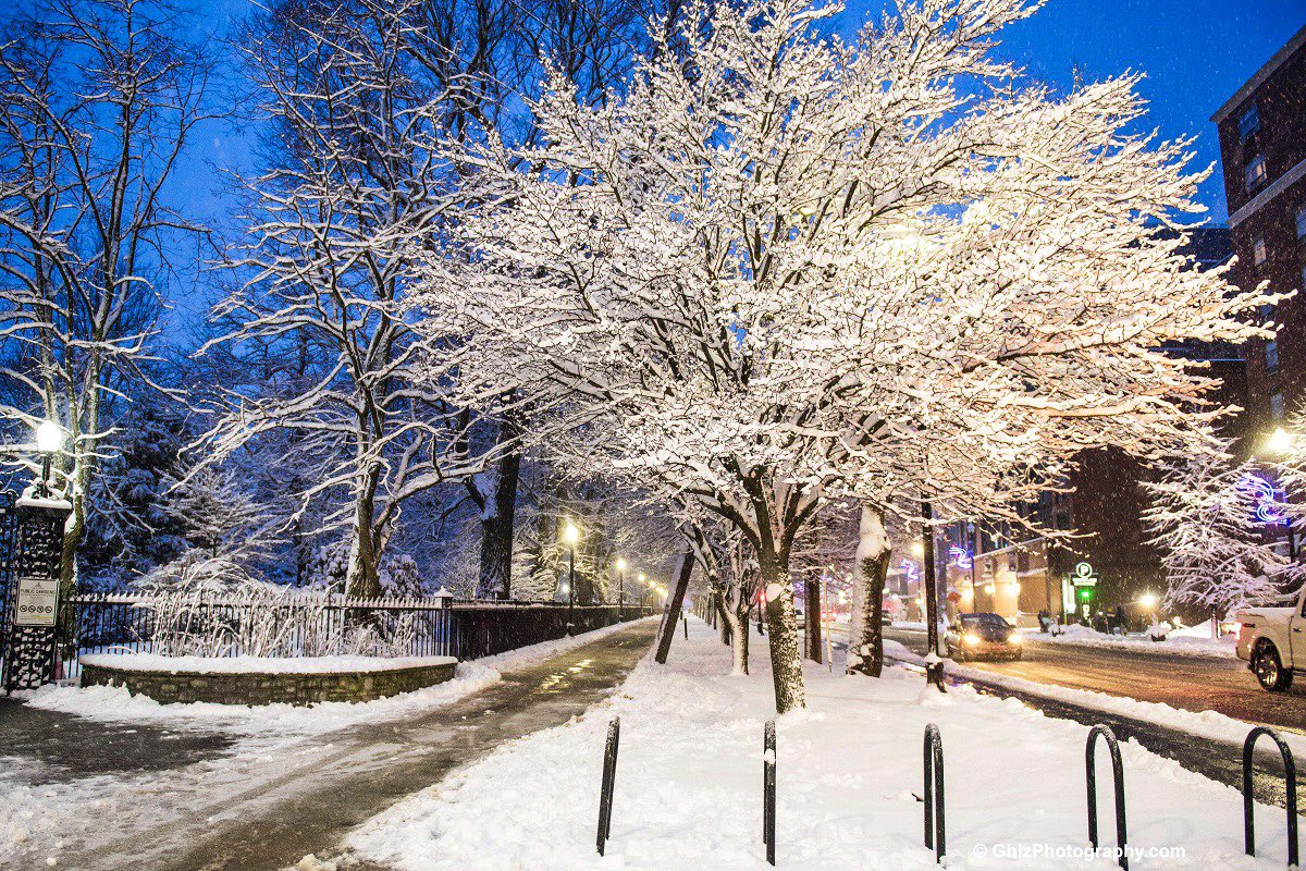 Halifax’s first snowfall in 2023. So Pretty 🤩 ❄️  #HalifaxSnowStorm #SpringGardenRoad