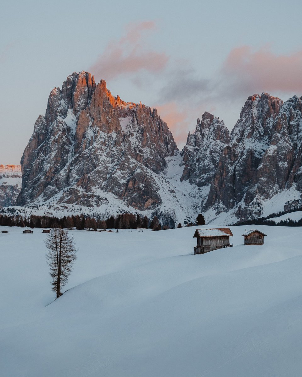 Robin Uthe tweet media