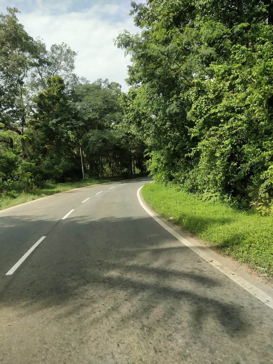 BaugShubhasmita's tweet photo. https://t.co/gxFU9X8Lsf