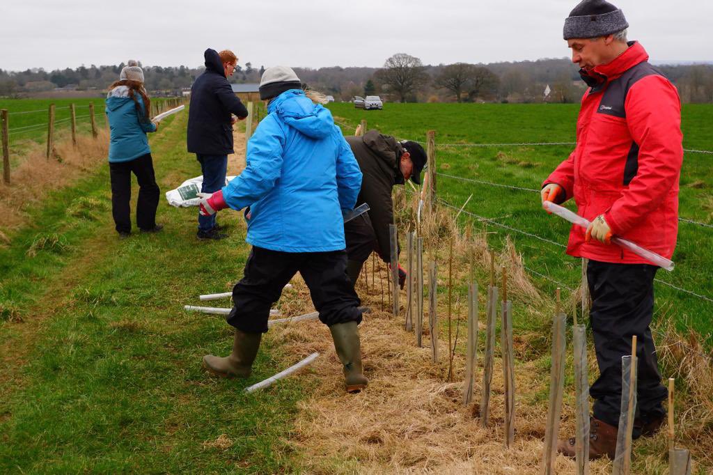 Brilliant publicity for the Society &amp; call-out for conservation volunteering help earlier by Christa on <a href="/NickyPatrick1/">Nicky Patrick</a> show <a href="/BBCSurrey/">BBC Surrey</a>. Catch it on Sounds at 709am. Look on our website events for next hedgelaying task on 18 Feb <a href="/SurreyHillsAONB/">Surrey Hills</a>