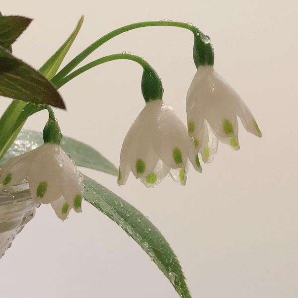 歐陽健勝 (@orthopaedicsur6) on Twitter photo 