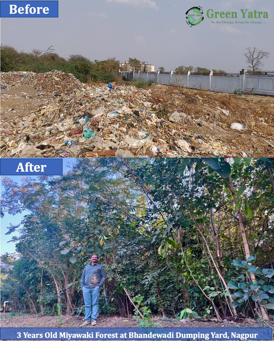 IamTreepathi's tweet photo. “A smooth sea never made a skilled sailor.” I love to take challenges and convert #DumpingYards into #MiyawakiForest
It was a tough task working at #Bhandewadi #DumpingYard,#Nagpur and covid 1st wave made it very difficult but team work made it possible
ThankU @abhijitbangar sir https://t.co/apzgMJrDH7