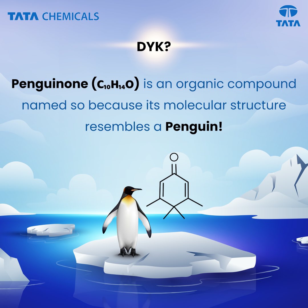 TataChemicals's tweet photo. Chemicals give shape to what we see and interact with everyday.
Penguinone is one such organic compound, whose name comes from the fact that its molecular structure resembles a penguin. Pretty cool, right?
So tell us, how do you feel inspired by #Chemistry?
#WorldOfScience https://t.co/9OaiOrIS9L