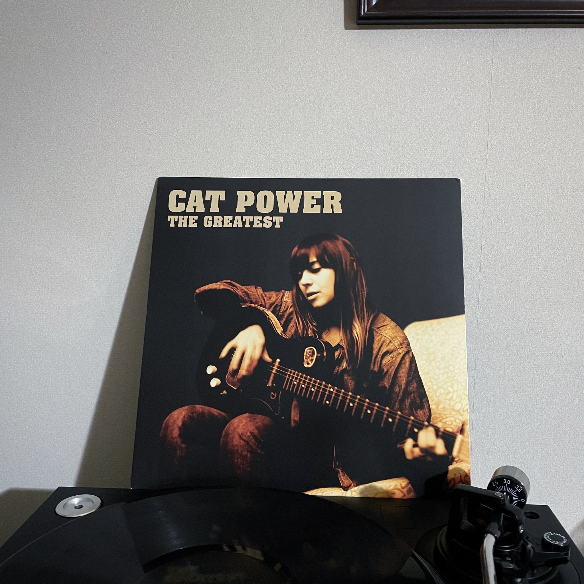 Happy Birthday Cat Power !!                     