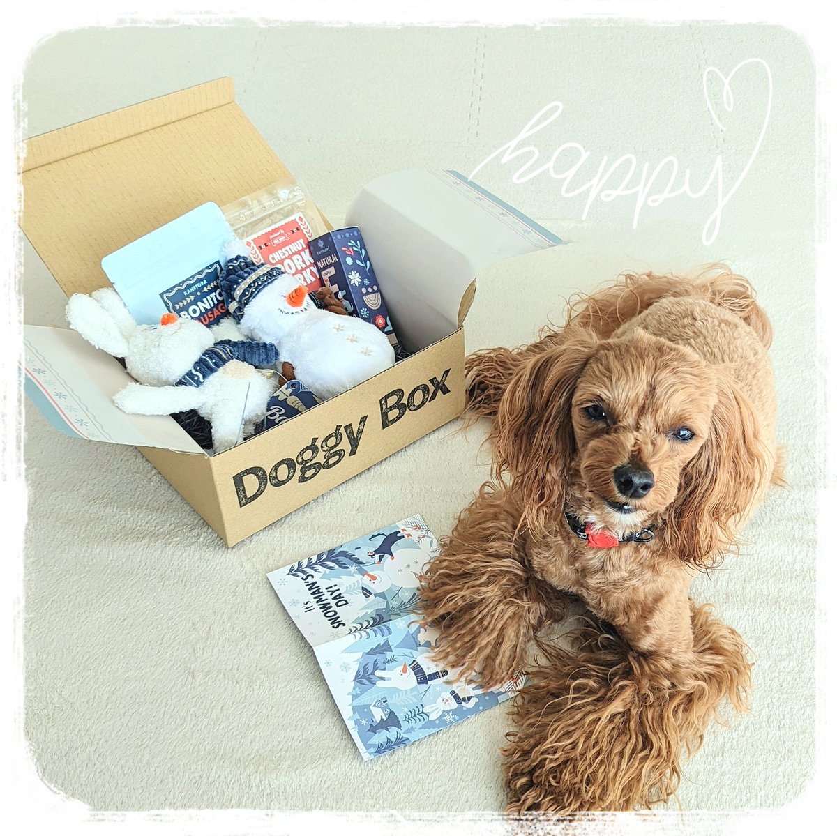 hapitan_marupu's tweet photo. ⁡⁡今月もドギーボックス届いたよー🐶🎶⁡
⁡ハピタンうさぎのぬいぐるみめっちゃ気に入ってるっっ😆✨⁡
足が左右に動くのとモコモコ素材なのが良き💕⁡
⁡来月もモコモコ素材のぬいぐるみだといいなー✨⁡
⁡⁡#マルプー #いぬのいる暮らし #犬のいるしあわせ #ドギーボックス #doggybox https://t.co/CipXfjifxM