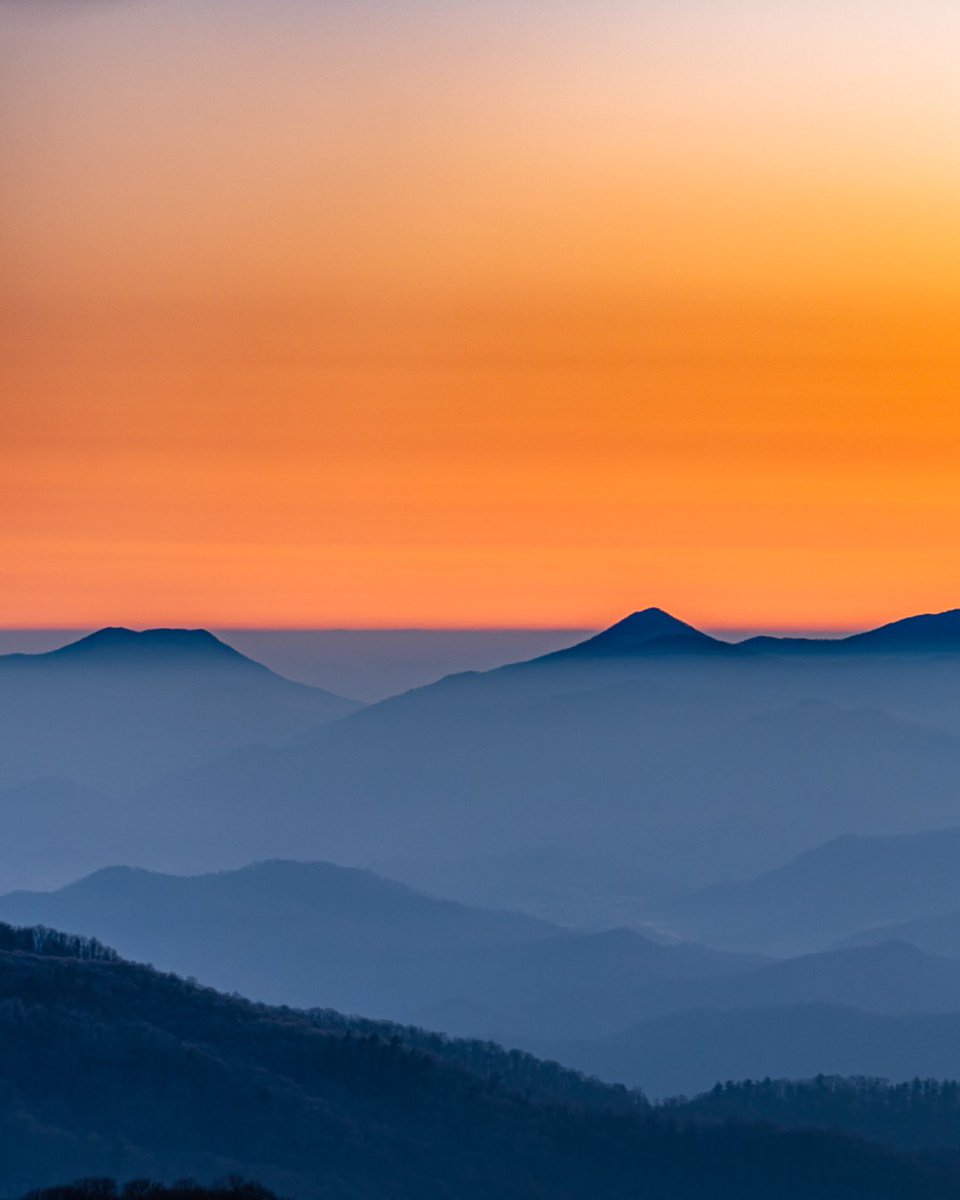 Asheville Pictures tweet media