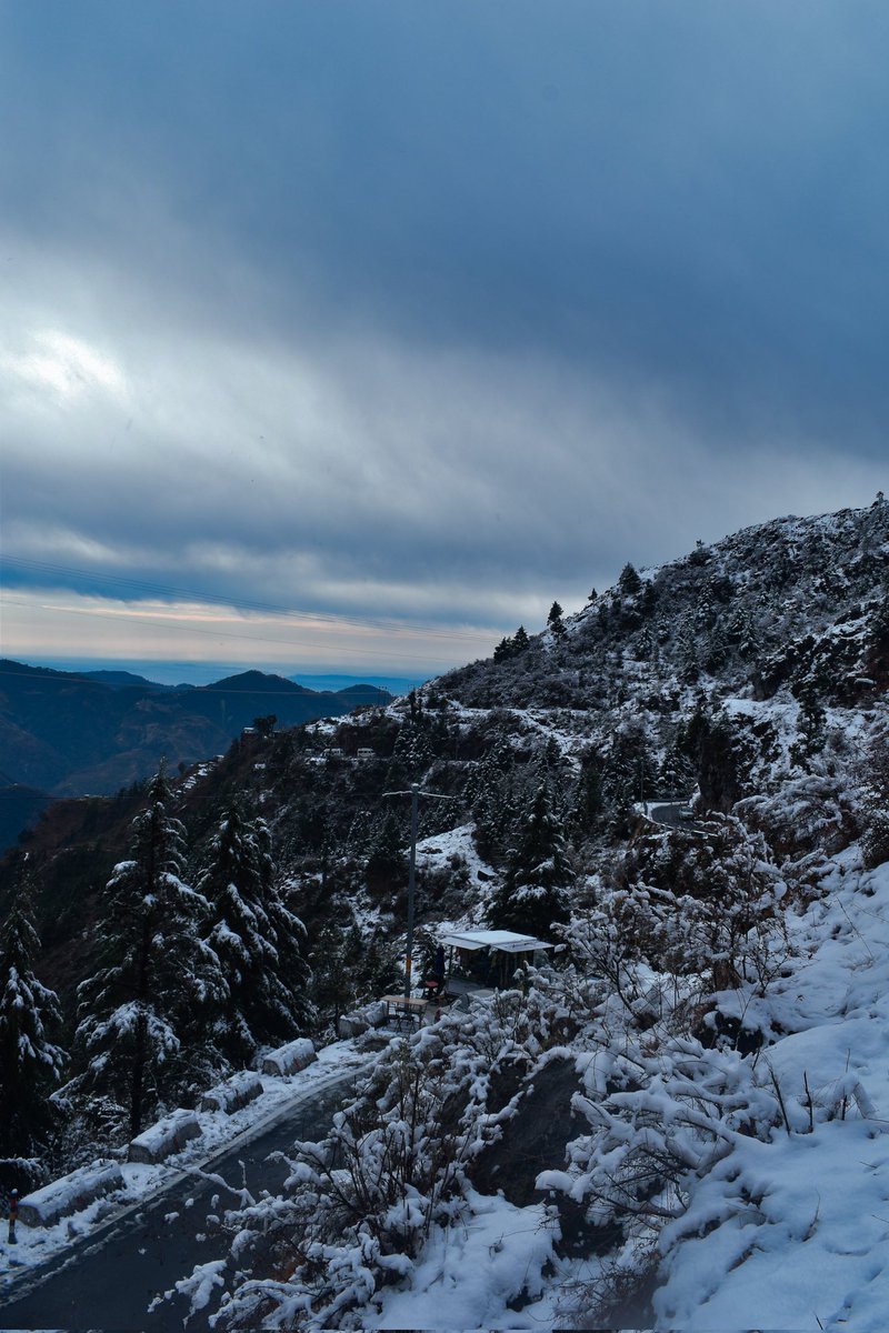 sid_maithani's tweet photo. Dhanaulti 📍
#Uttarakhand #mussoorie #dhanaulti https://t.co/YwcYGohWDR