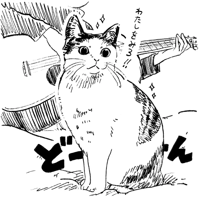 ギターの練習を動画に撮っていると、猫が100%の確率で映りにきます。正面に。画面が白い腹毛しか見えない。 