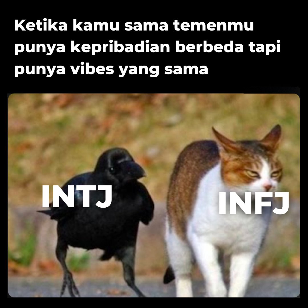 Boo_Indonesia's tweet photo. Tag temenmu
#INTJ #INFJ #memeINTJ #memeINFJ #16personalities https://t.co/dApKc8D5Q3