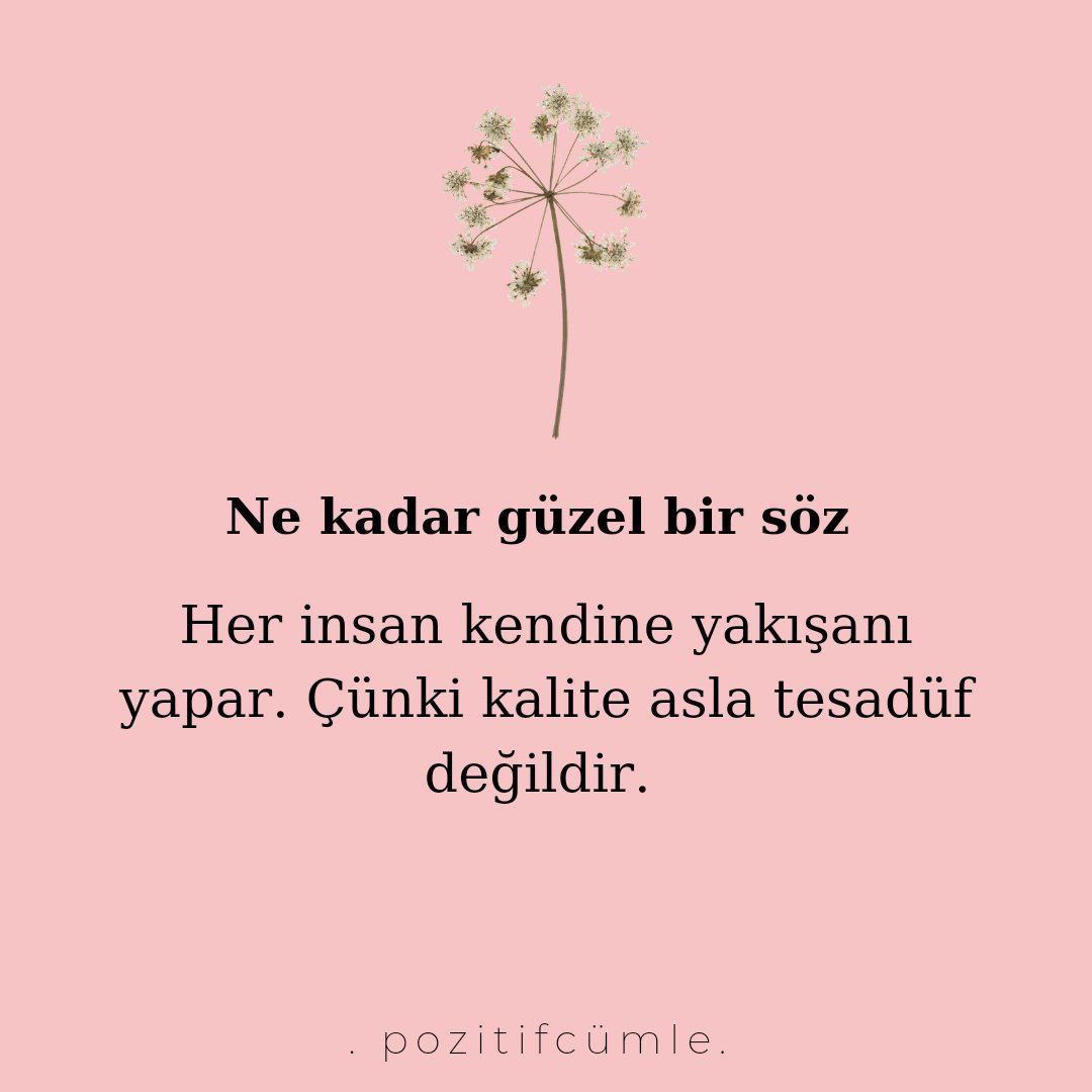 Pozitifcumle's tweet photo. https://t.co/GbSjyLUJT3