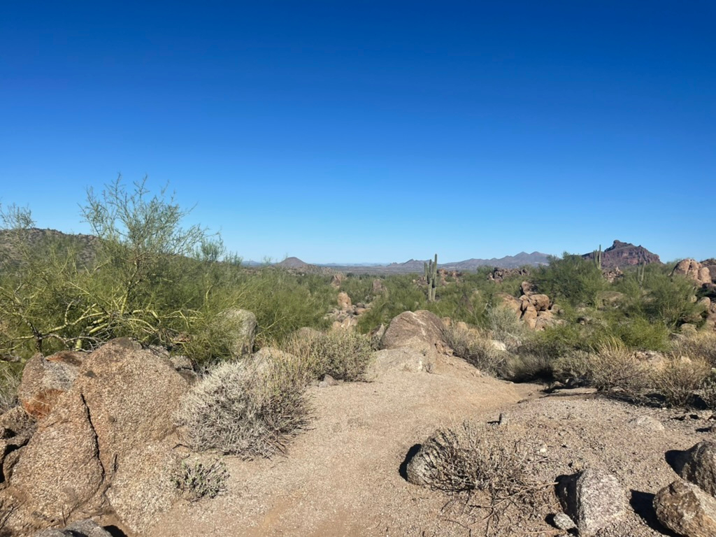 One of my favorite places!

I love to run the Hawes loop trail! It is an easy loop (so I don't get lost) yet it is just me and the desert...and an occasional biker. 

#explorearizona #tontonationalforest #lassendas #mesa #running #azfamily
#hikeaz #runninglife #exercise