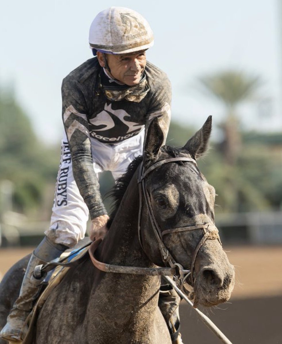 SarahHorsegirl's tweet image. Micro Share and Jockey Mike Smith race day photo from yesterday. Photo Credit: Benoit Photos #MicroShare #MyRacehorse Micro Share got a lot of dirt in her face during the race