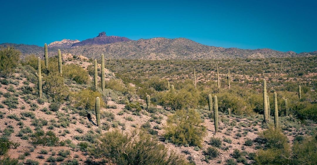Check out these desert views 😍🌵
📸 @dirtbag_adv IG
.
.
.
#overland #desert #dez #desertcruiser #desertexplorer #overlandvan #campervan #campervanbuild #explore #adventure #vanbuild #fordvan #fordcamper #transitvan #transitcamper