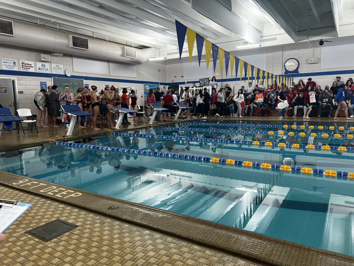 Marion Harding Swimming tweet media