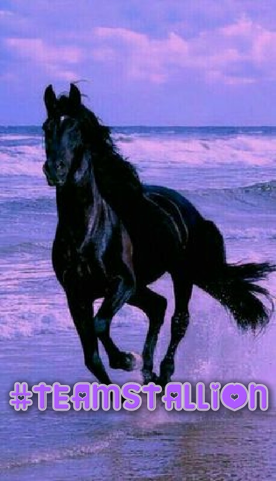 sammi_ananta's tweet photo. #TEAMSTALLION Family🐎❤

❤ @italianostyle2 
❤ @italianostyle1 
❤ @MarEthr 
❤ @BrettMGWV 
❤ @A_J_Christ 
❤ @Sprecher58 
❤ @FlorMeninnaa 
❤ @RaniKancana 
❤ @caesar_emil 
❤ @KaredokLeunca__ 
❤ @Karina_Wung 
❤ @mikuroQ 
❤ @sankuroZ 
❤ @kn_jui 
❤ @jui_kn 
❤ @75Mahrus https://t.co/3VK1e7Lt4O