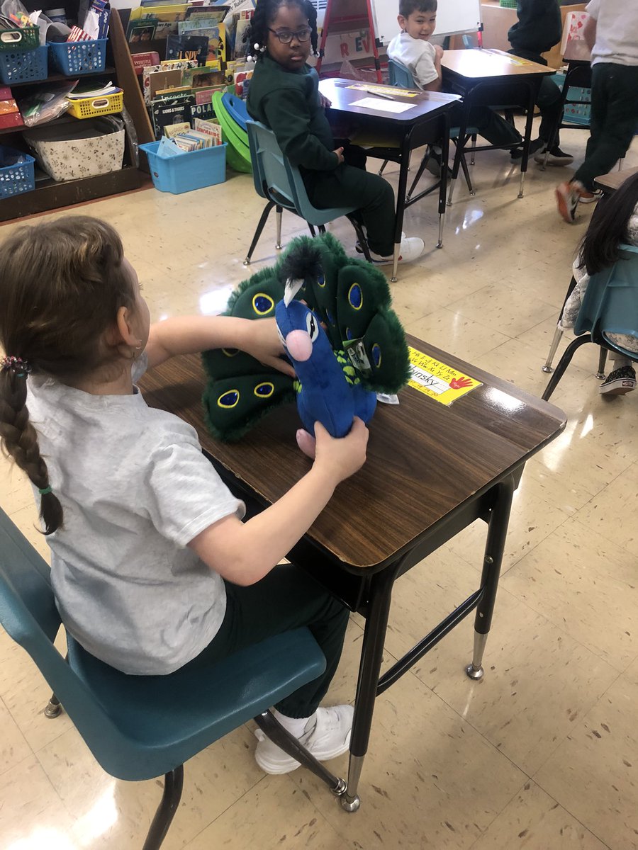 stjoescarteret's tweet photo. @World_Wildlife @Inha1864 @MyCarteret @DanReiman SJS kindergartners adopted, Sprinkles, the peacock from @World_Wildlife #wildlife #catholicschools #SJSRocks https://t.co/4WQIDlBnfl