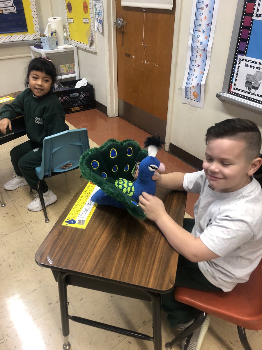 stjoescarteret's tweet photo. @World_Wildlife @Inha1864 @MyCarteret @DanReiman SJS kindergartners adopted, Sprinkles, the peacock from @World_Wildlife #wildlife #catholicschools #SJSRocks https://t.co/4WQIDlBnfl