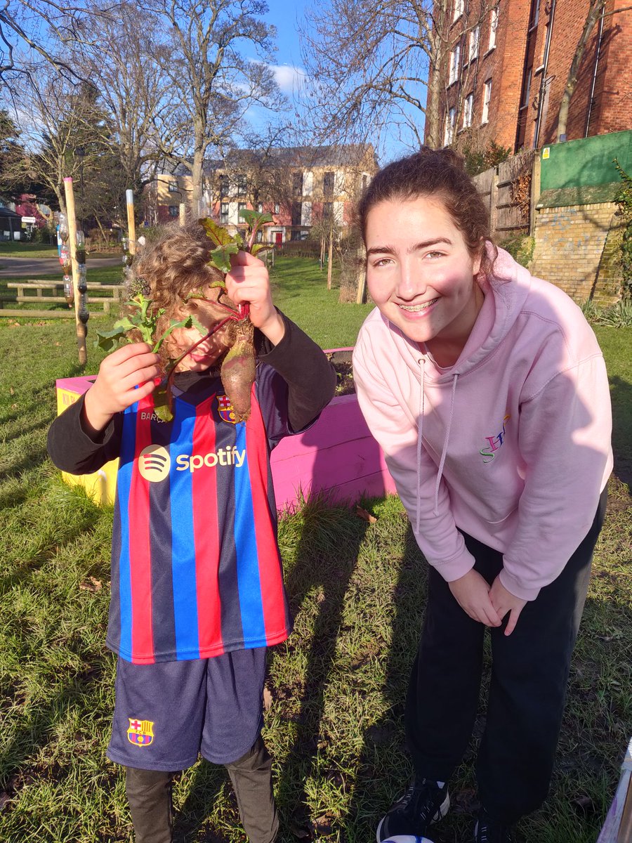 Kilburn Community Garden - Anyone Can Grow tweet media