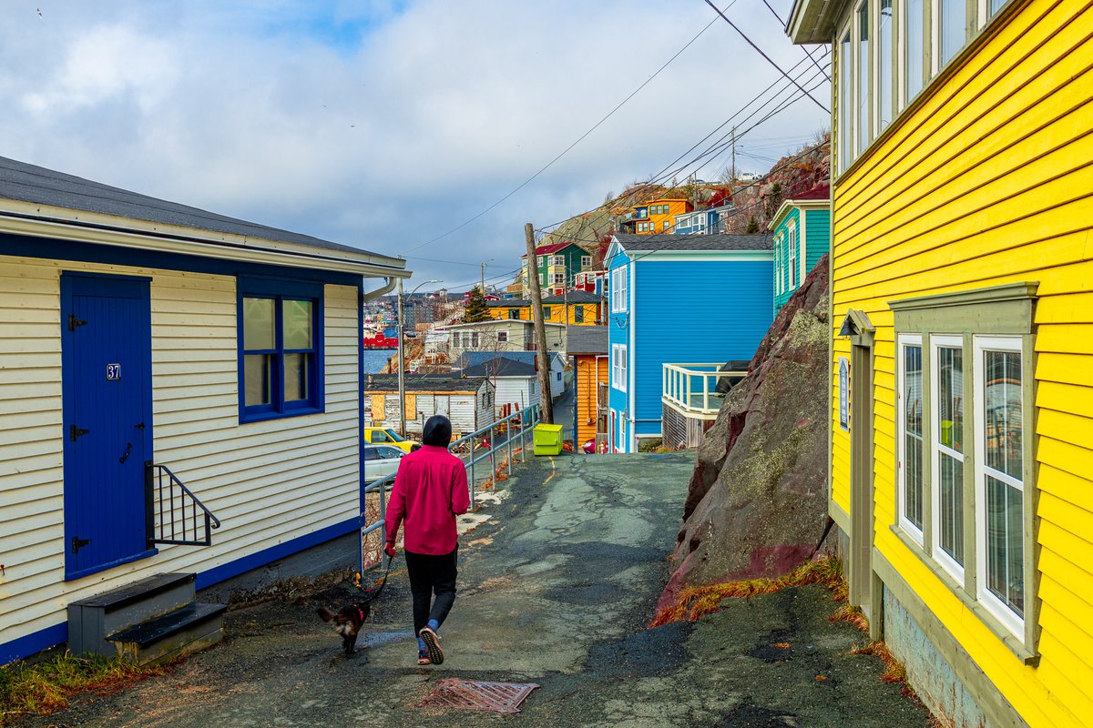 picster55's tweet image. @digitalps #dPSWeeklyChallenge and #dPSVibrant