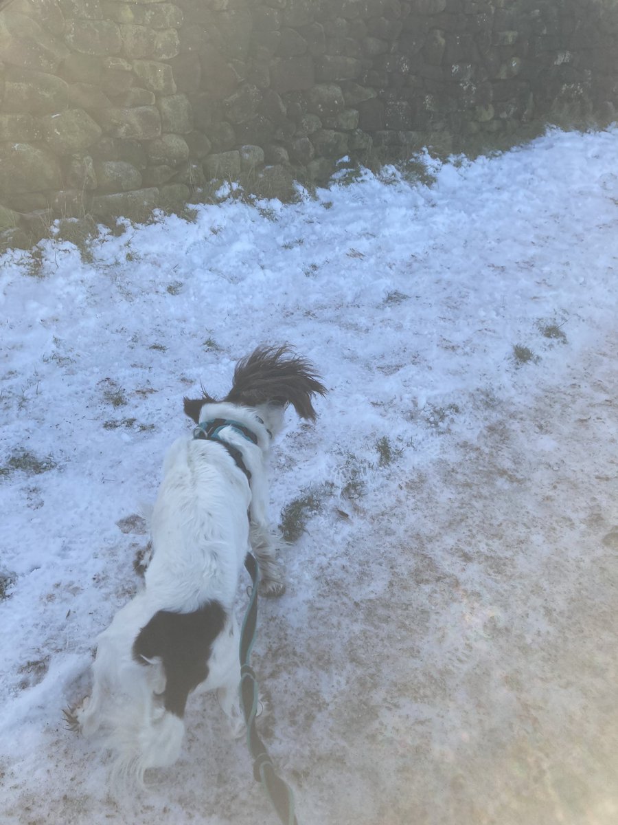 AndyTaylor02's tweet photo. Unbelievable run with the boy today. #roaches #fellover #headspace https://t.co/mqYXkJpKgh