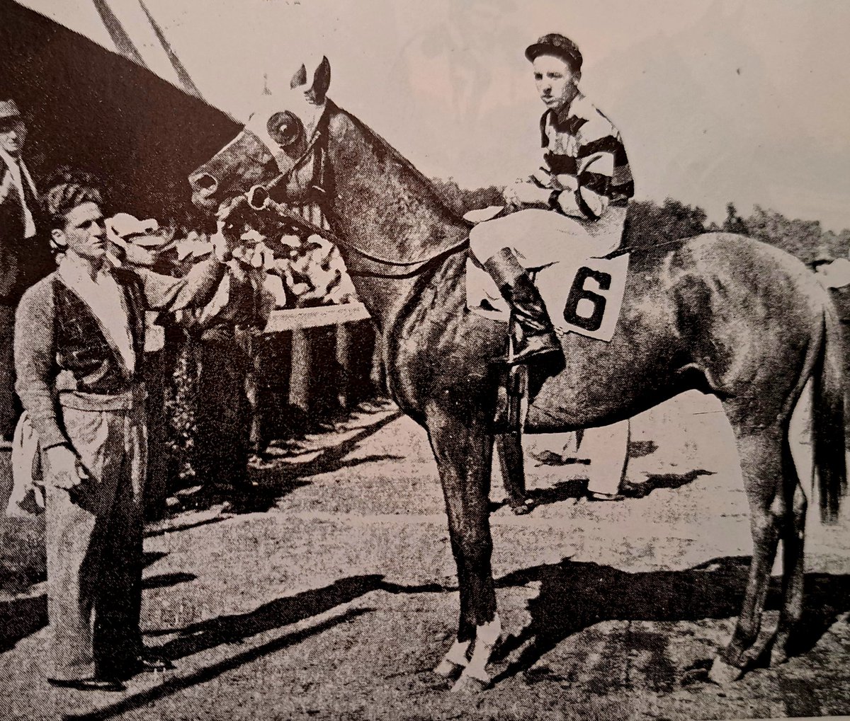 HORSERACING1002's tweet photo. EIGHT THIRTY ๐บ๐ธ 1936
(PILATE - DINNER
TIME BY HIGH TIME)
#EightThirty
Multiple Stakes winner ๐. 1939 Travers Stakes winner ๐. Sired 45 sw. Stood at Old Kenney farm later @spendthriftfarm https://t.co/gG4jI0gzHc