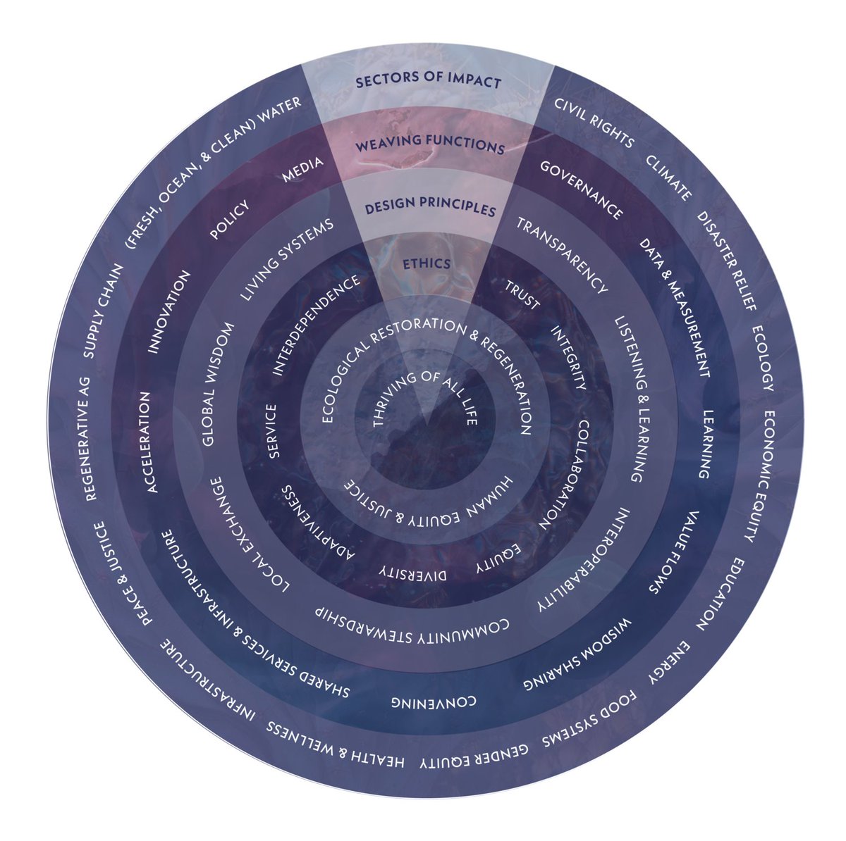 Patricia Parkinson tweet media