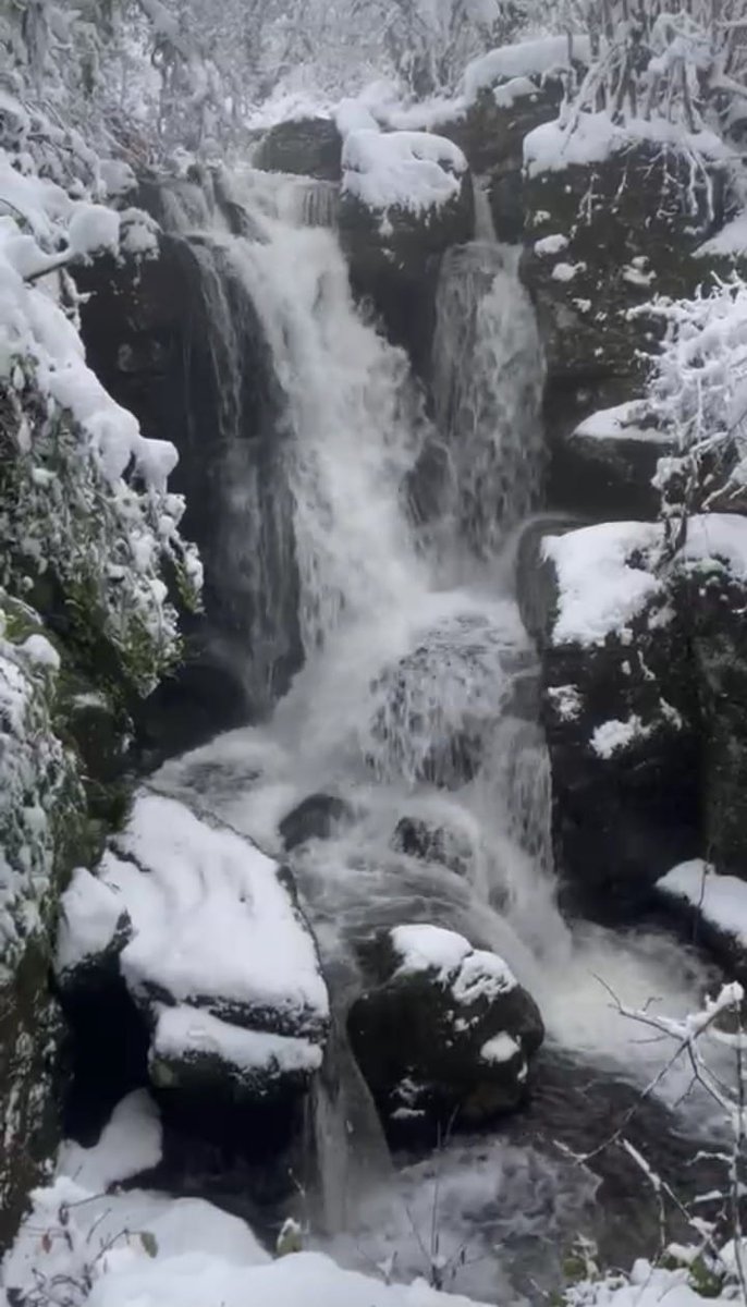AleMilia20's tweet photo. S'istrampu 'e Mularza Noa.
Le cascate ghiacciate di #Bolotana
#Sardegna https://t.co/eeUcN3WPSY