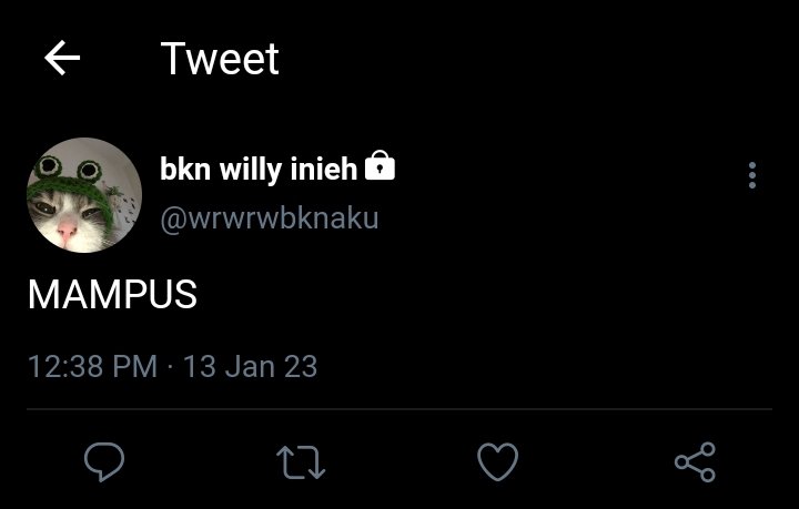 al, few tweets 📌 tweet media