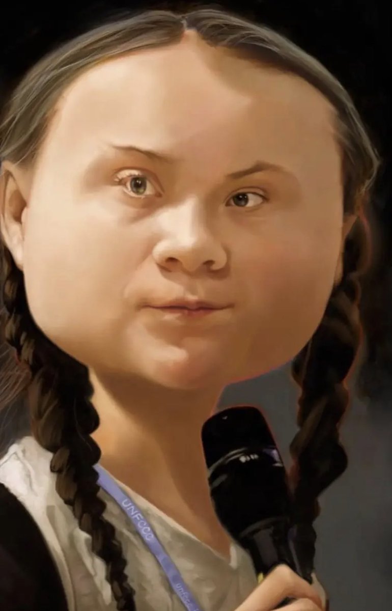 sweetbrena_00's tweet photo. @GretaThunberg This you bruh? 😭 https://t.co/USlnnW6PqO