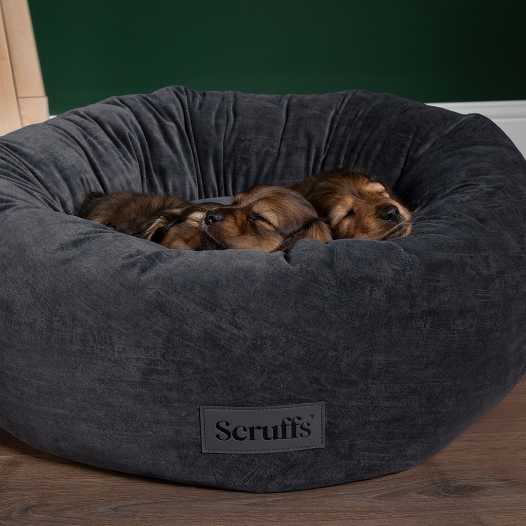 Scruffs tweet media