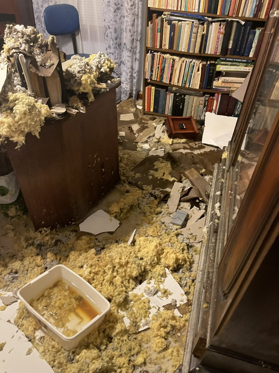 Just a typical day here at the office:)