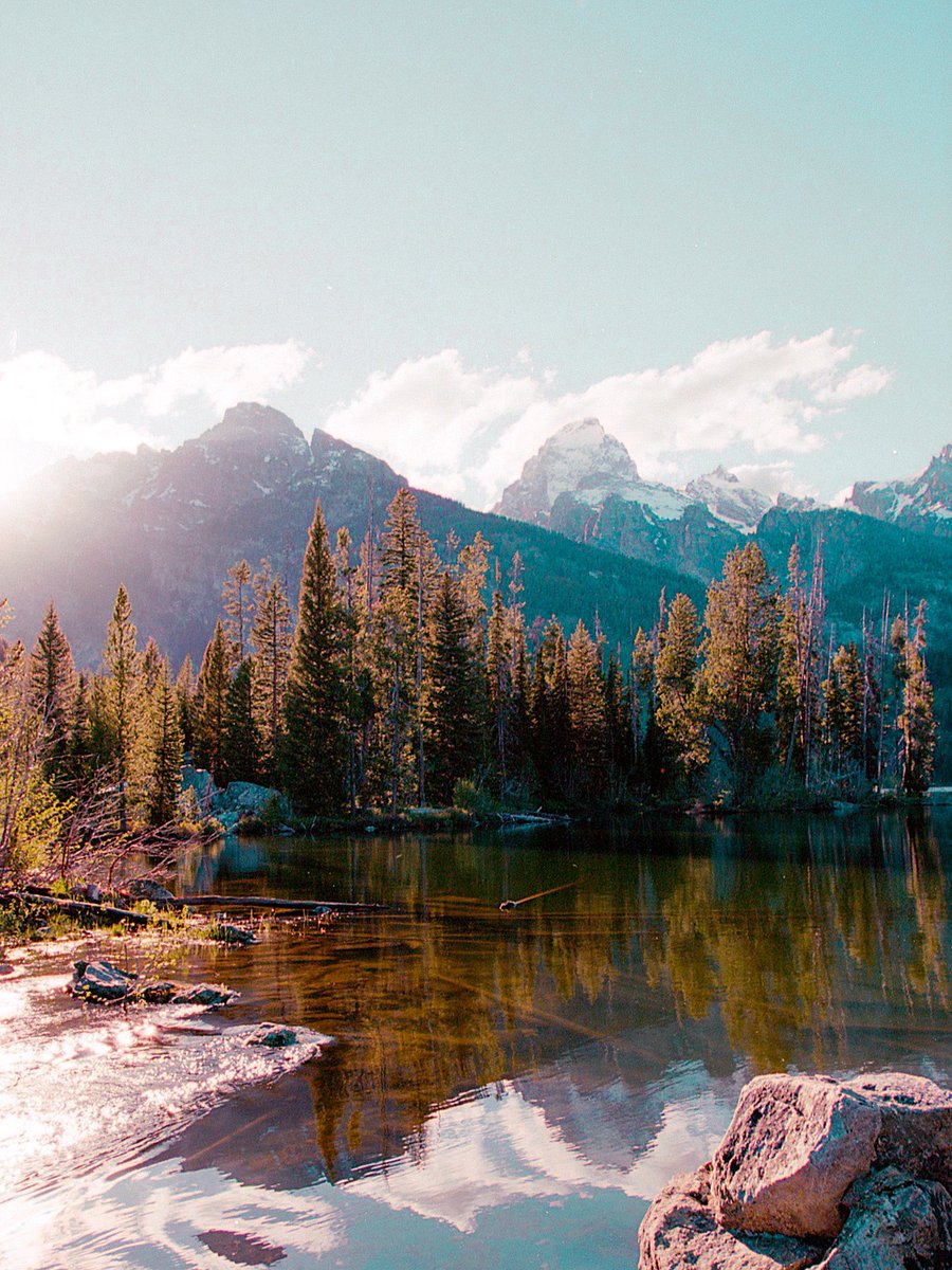 The film.                🤝              The photos.