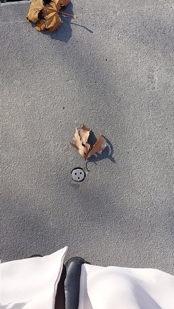 Bugün yolda yürürken hiçbir şey tatlıya benzemediği için yolda şaşkın suratımı buldum