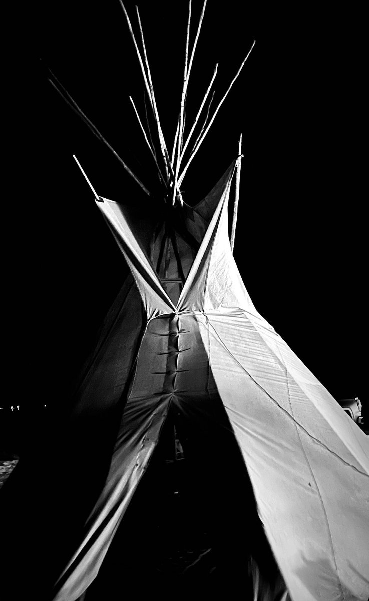 native4data's tweet photo. I’m a relative first. When they call me home, I’m home. I want to stop burying my relatives! How do we get to live? The answer shouldn’t be so hard to find. But for us rez kids, it’s elusive. I don’t just study death as a Native demographer. I live it. My research is rage! https://t.co/ovHHOGapoJ