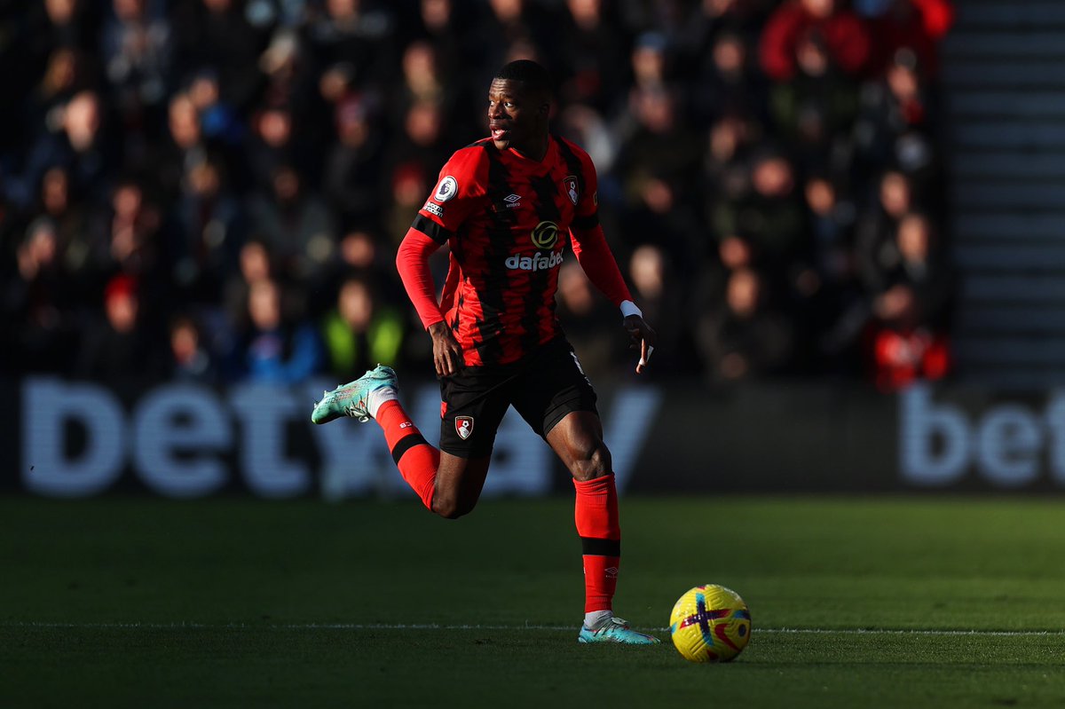 afcbournemouth's tweet image. So, what have we made of this guy? 😏