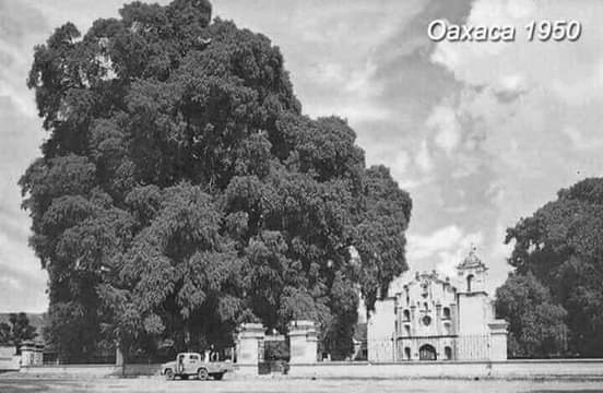 México a través del tiempo