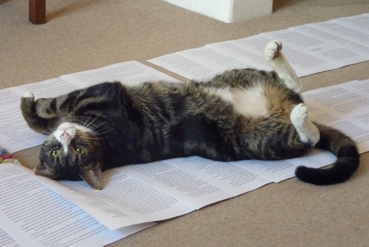 Emma Cameron 🌎 tweet media