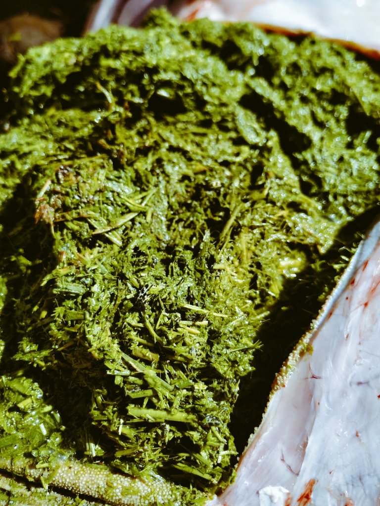 ArielPereyra74's tweet photo. Vaca con síntomas de ingesta de alfalfa plagadas de Astilo moteado, siete de oro, otra consecuencia de la #seca extrema! https://t.co/afleTrMjD2