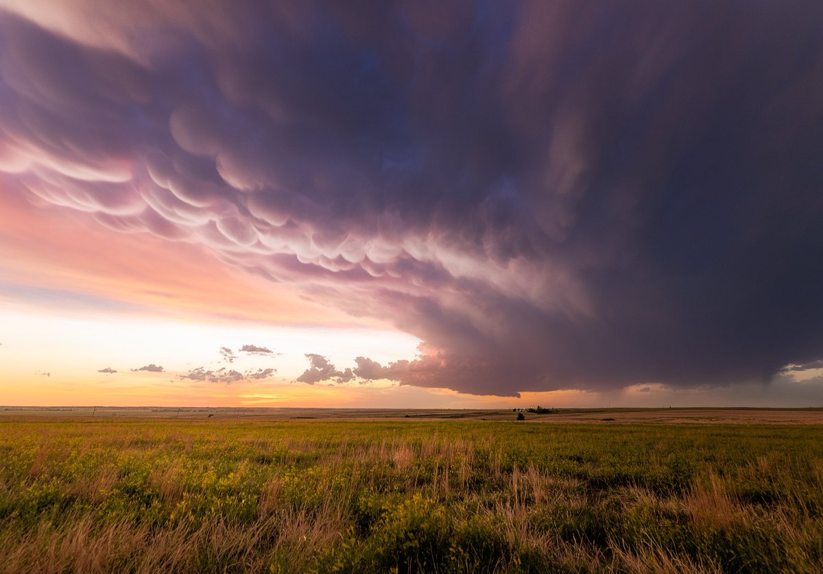 The artist           //          The art