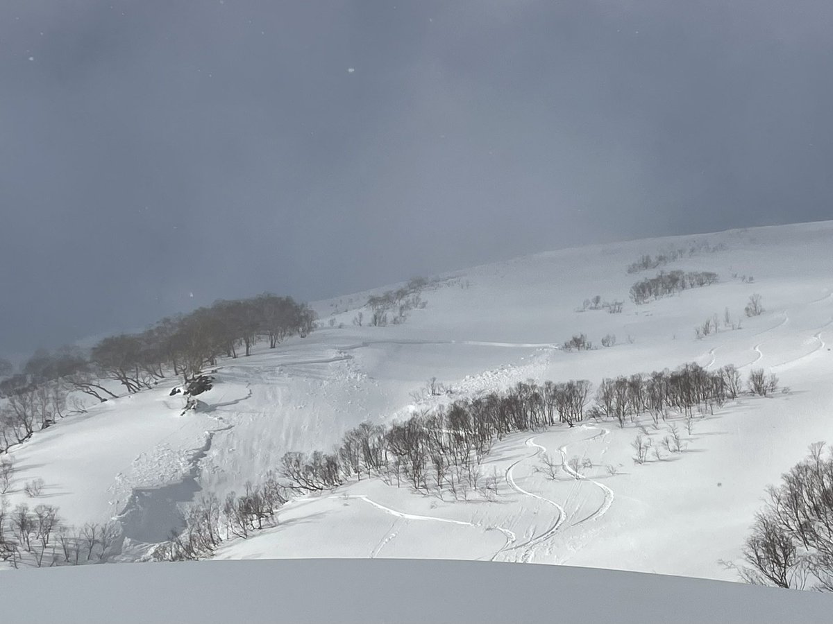 SunnyEmotionJp's tweet image. 230121 15:00
栂池高原
標高2250m南面
サイズ2

1人目が滑った後、2人目がよりスキーヤーズレフト寄り(雪崩から離れた側)を滑った際にリモートトリガーで発生。2000m付近平らになる辺りまで
#nadare2023