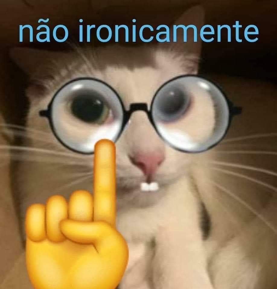 ECRestinga's tweet image. ESTAMOS DE VOLTAAA!🦁💙🤍