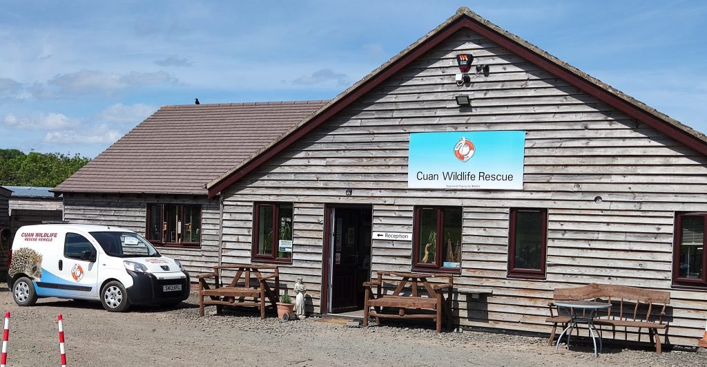 Virtual Quiz Events for Fundraisers tweet media