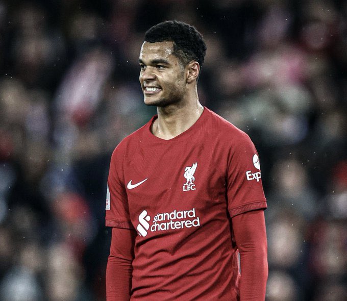 Binlade20113420's tweet image. Who’s a better forward 👇🏿
❤️ for Victor Osimhen
🔃 for Cody Gakpo

Pogba nudity ini edo juventus nancy isime #LEIBRI #ARSMUN #WHUEVE