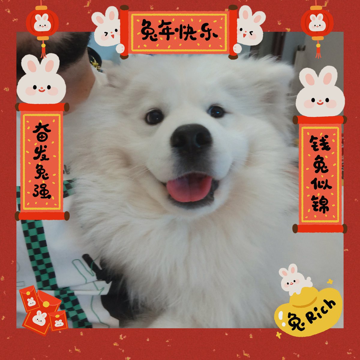 iiiblack2897's tweet photo. 大年初一新年快乐！ https://t.co/vkSbcOXrif