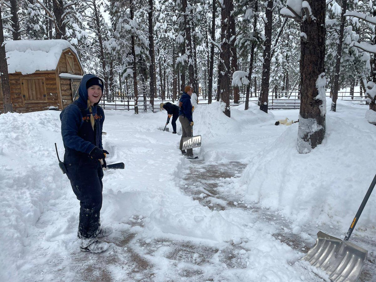 bearizona's tweet photo. We are open! There's a lot of snow and it's pretty cold, but bundle up and come see us! Our awesome team is continuing to work on shoveling and plowing more snow today 🐻❄️ https://t.co/bNTpZGimEL