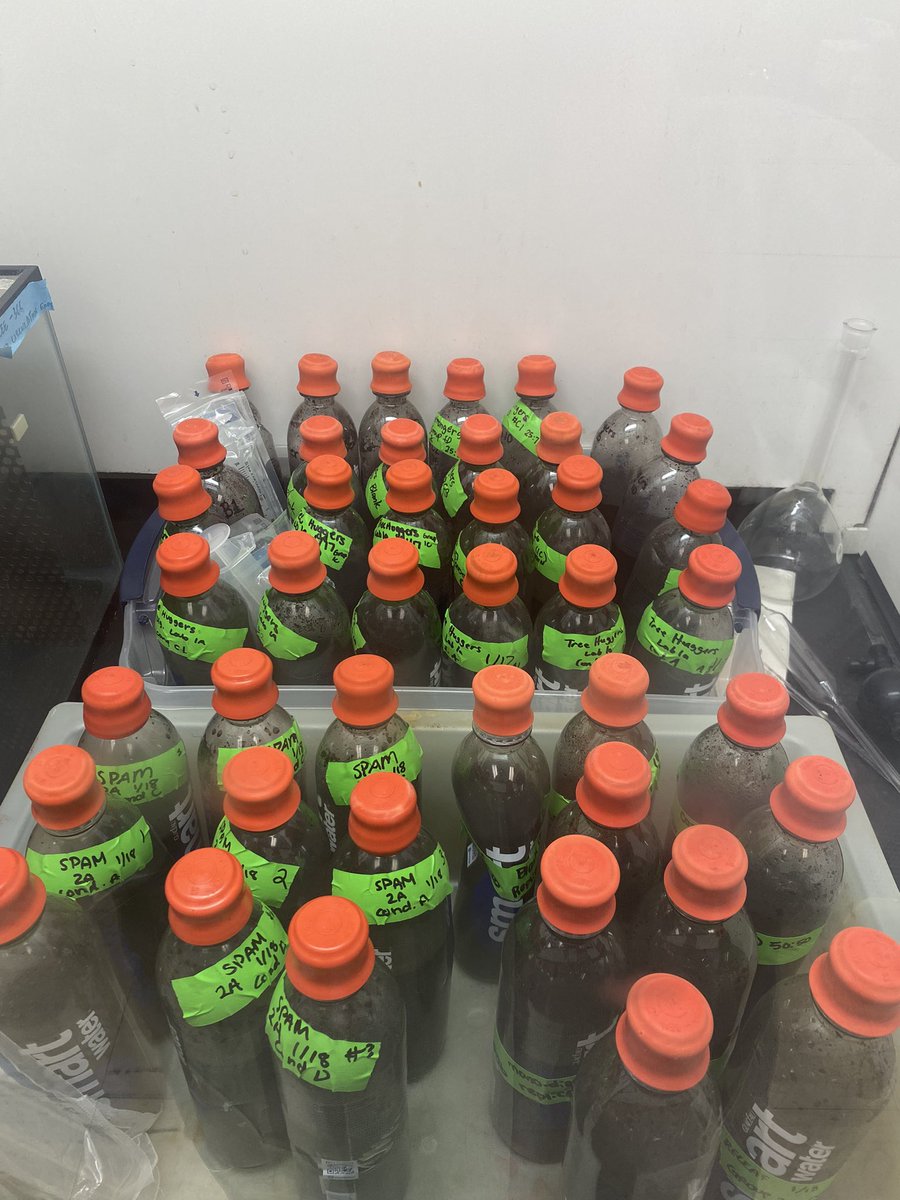 This week in CEE 366 lab, I helped students set up their own BMP (bio-methane potential) bottles. Watching them get super excited when they measure biogas production in their bottles is worth all the effort! 🤓#anaerobicdigestion #phdlife