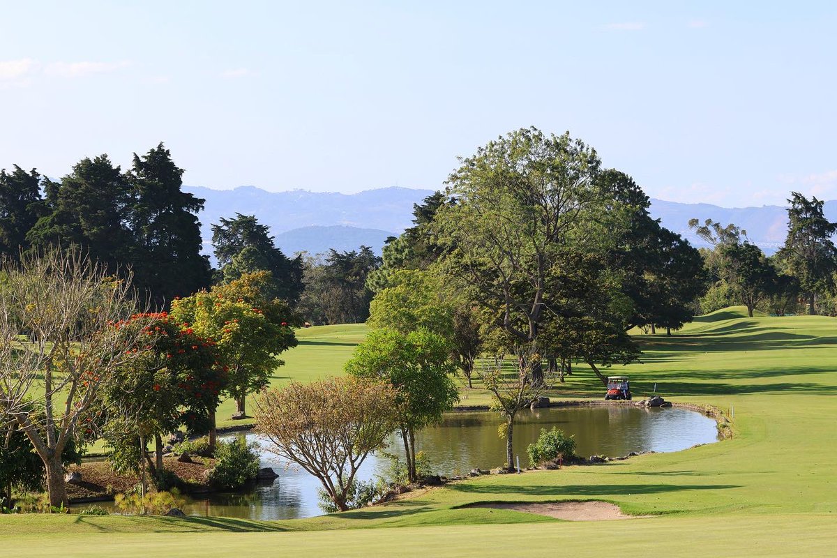 ASOGOLFGUATE's tweet photo. Ronda 1 “I RANKING NACIONAL AMATEUR 2023”

#somosasogolf https://t.co/o0j5Nu8844