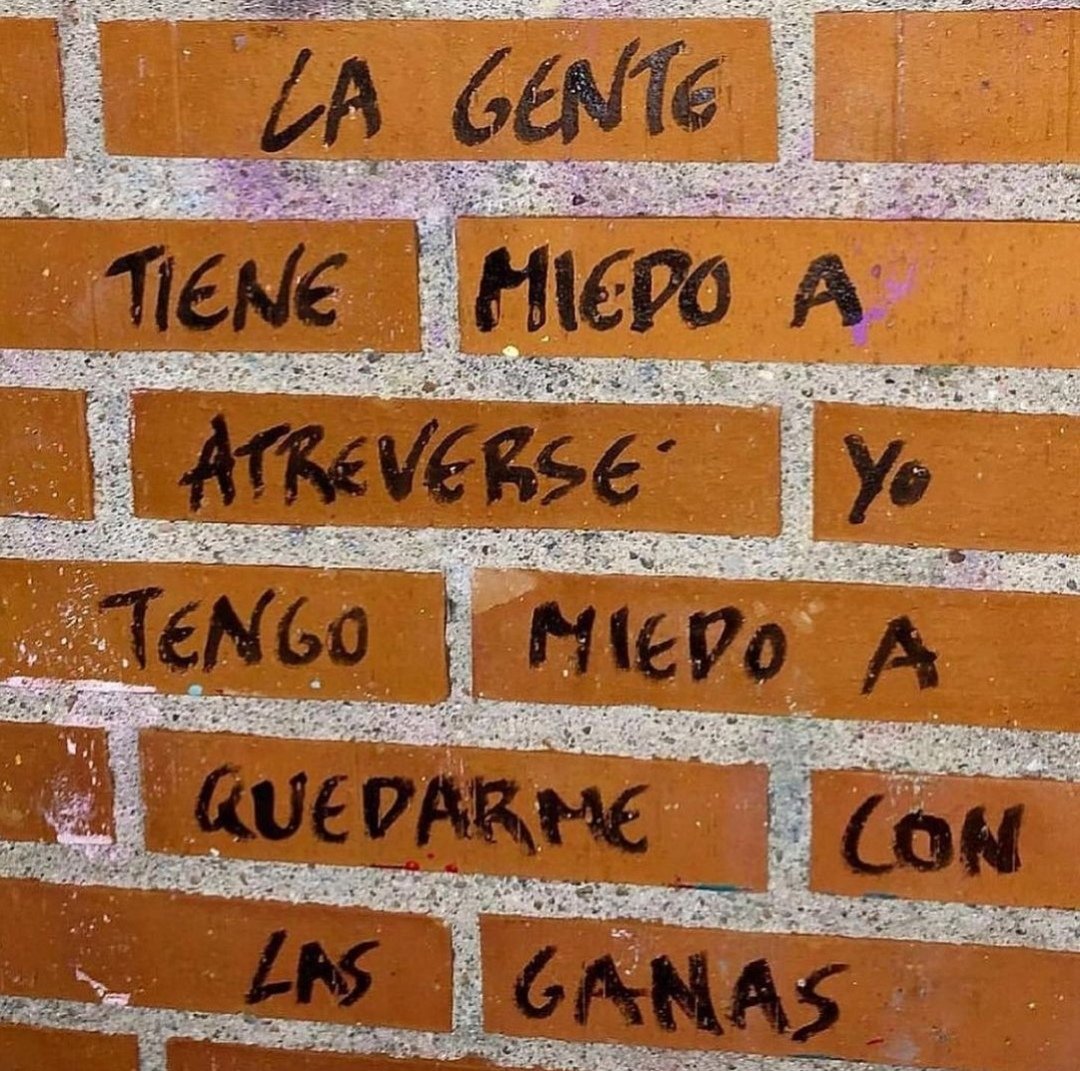 MishuGranda's tweet photo. 🙋🏻‍♀️ https://t.co/lmZjNgQAVZ