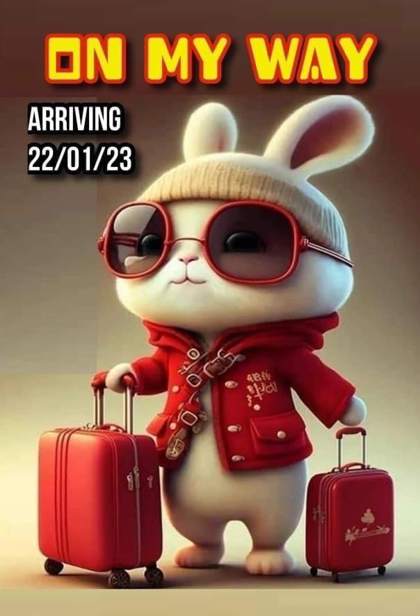 Wish everyone a happy Chinese rabbit Year! To health and happiness!新年快乐！#ChineseNewYear